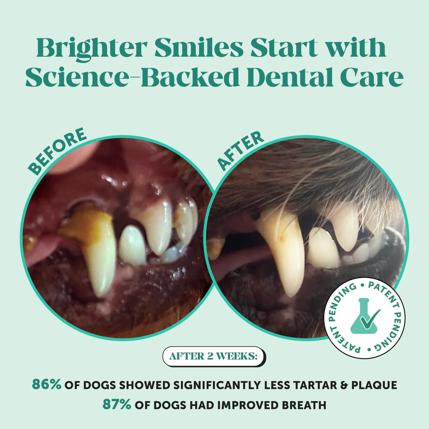 Fresh Breath Dental Powder for Dogs (60 servings)🦷