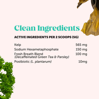 Fresh Breath Dental Powder for Dogs (60 servings)🦷