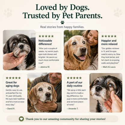 💥50K+ PET PARENTS TRUSTED💕 - ChewRoutine™ Pet Lutein Eye Care Spray