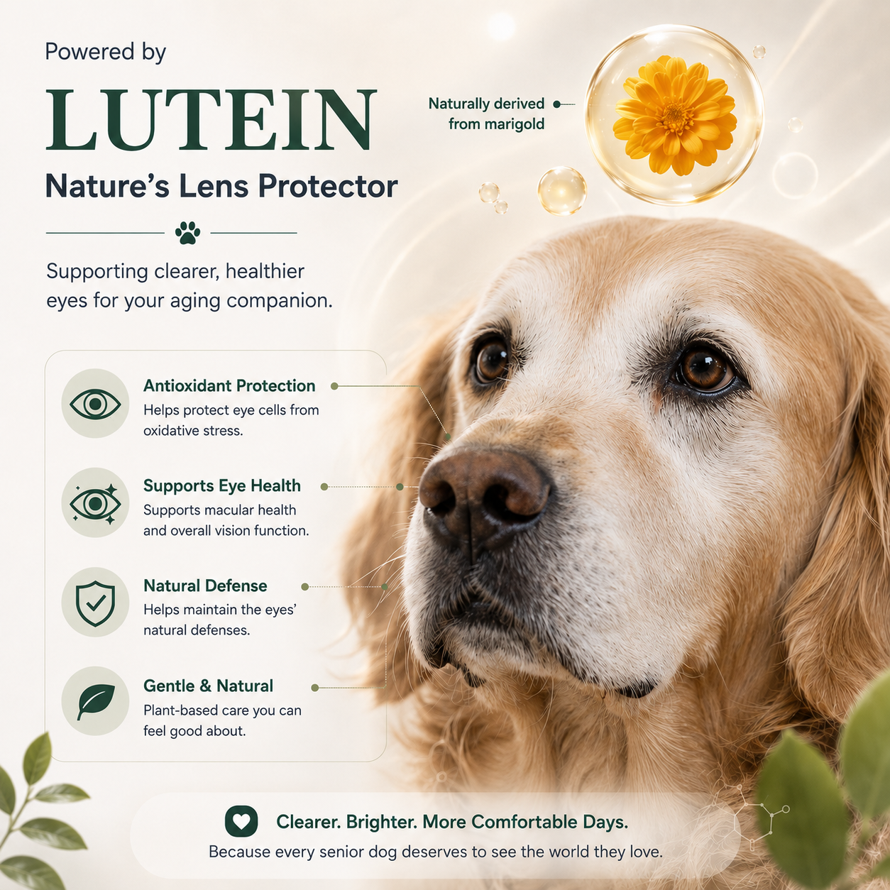 💥50K+ PET PARENTS TRUSTED💕 - ChewRoutine™ Pet Lutein Eye Care Spray